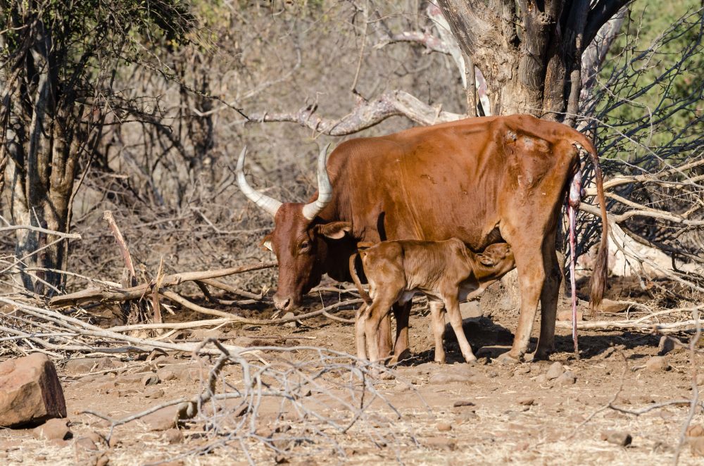 Namibia Southwest Africa Travel Photography