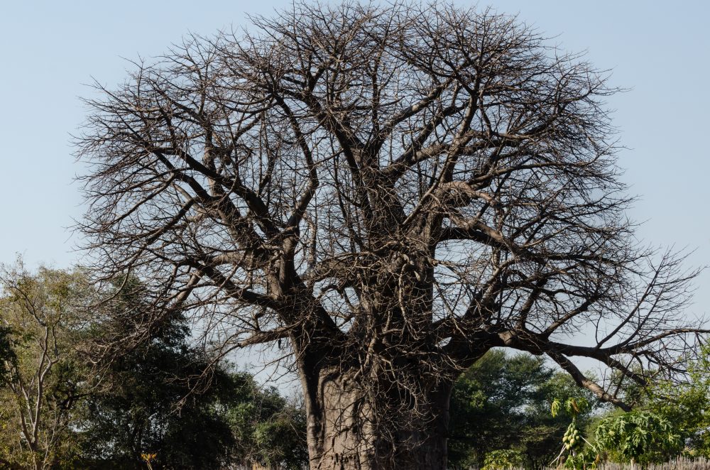Namibia Southwest Africa Travel Photography