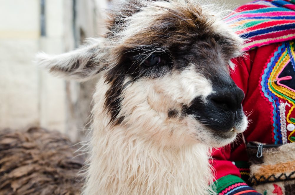 Sacred Valley Peru Travel Photography